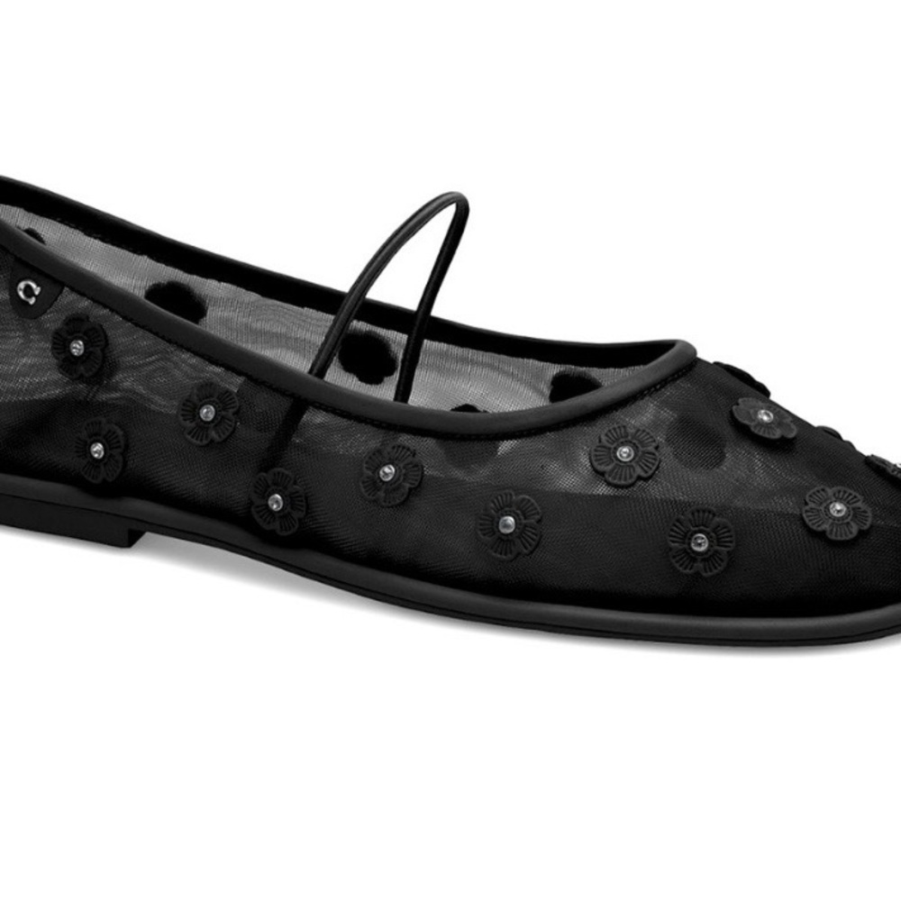 NEW WITH BOX COACH WOMEN'S EMILIA MARY JANE BALLET FLATS BLACK  MESH SZ 10‎ - Picture 3 of 11
